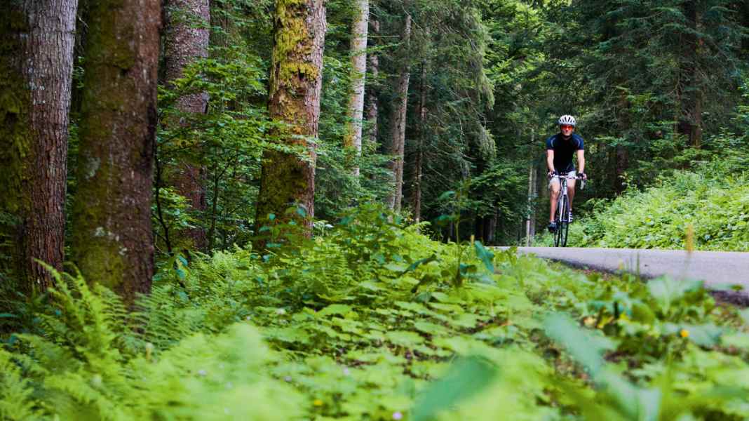 Allemagne : Randonnées à vélo de course dans le Hotzenwald - Dans le sud de la Forêt-Noire, des vallées escarpées mènent à de hautes altitudes