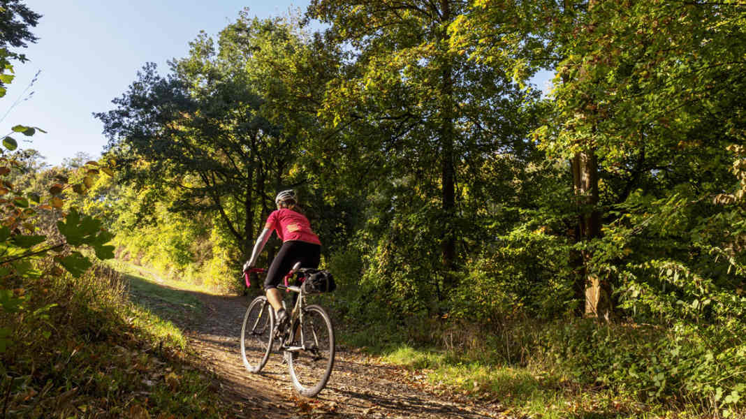 Germany by cross bike: Stage tour on the Rennsteig - In the hiking area: With the cross bike on the Rennsteig