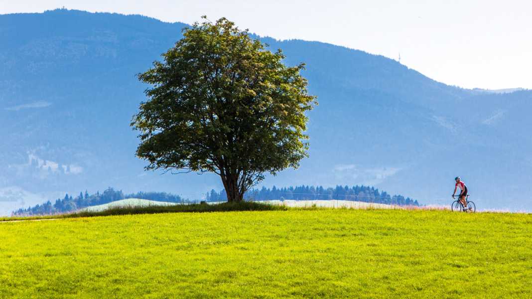 Deutschland: Höhenzüge im Mittleren Schwarzwald - Fast wie in den Alpen: Rennradtouren im Schwarzwald