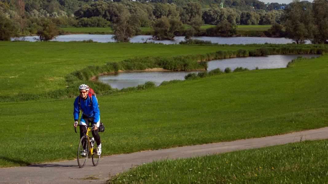 Allemagne : plaines alluviales de la vallée de l'Elbe