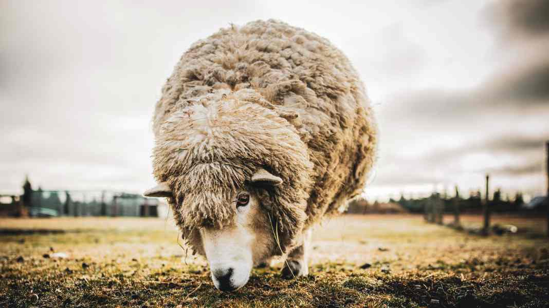 Test & washing instructions: Cycling jerseys made from merino wool