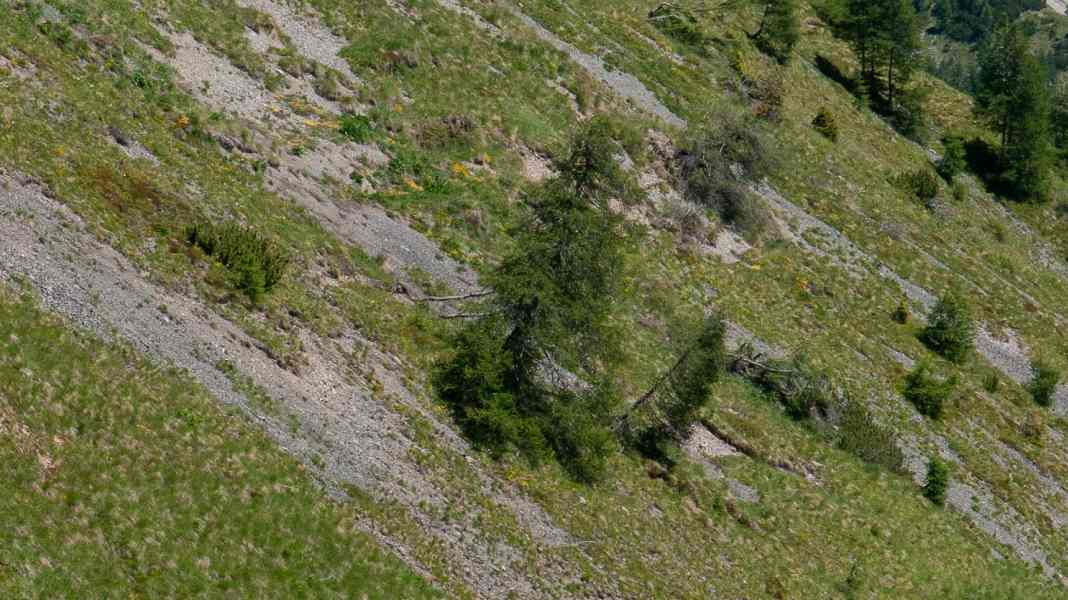 TOUR Transalp 2022 - Etappe 6: Abenteuer im Nirgendwo