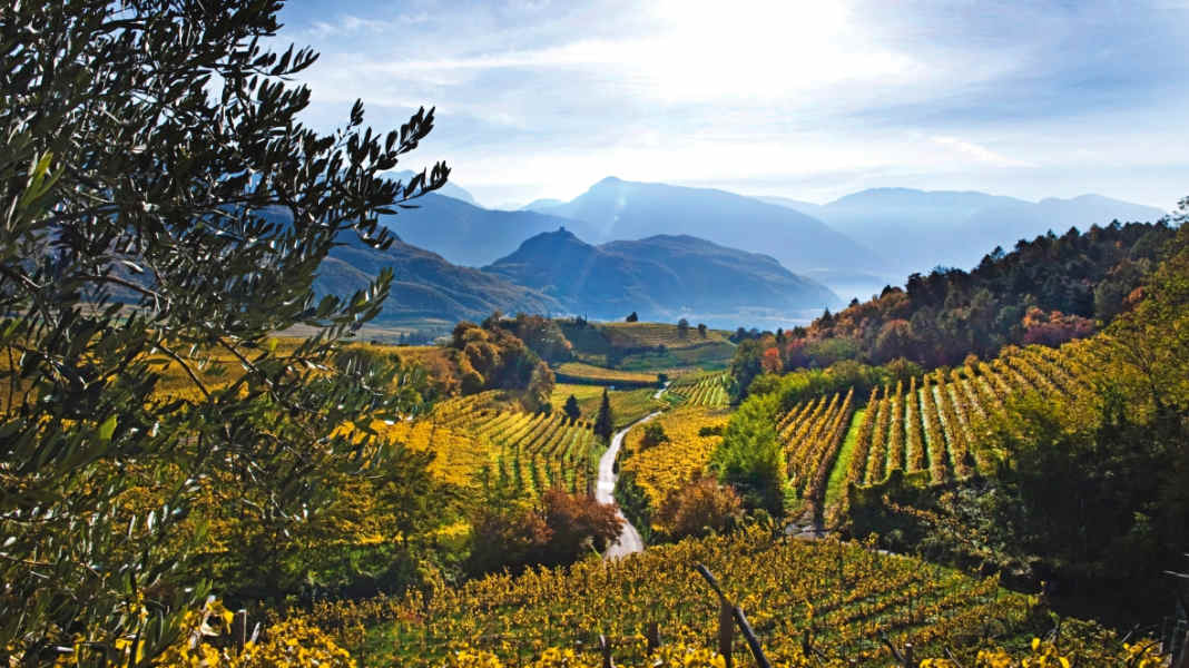 Region Bozen und Kalterer See - Tourentipps in Südtirol