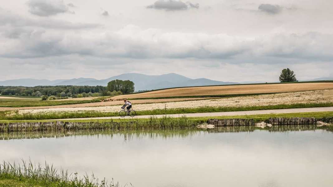 France, Sundgau: Road bike tours in southern Alsace - where Germany, Switzerland and France meet