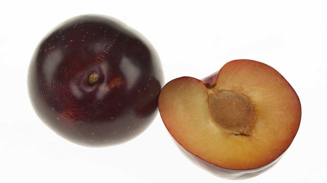 Die Pflaume: Alles Wissenswerte zu Pflaumen