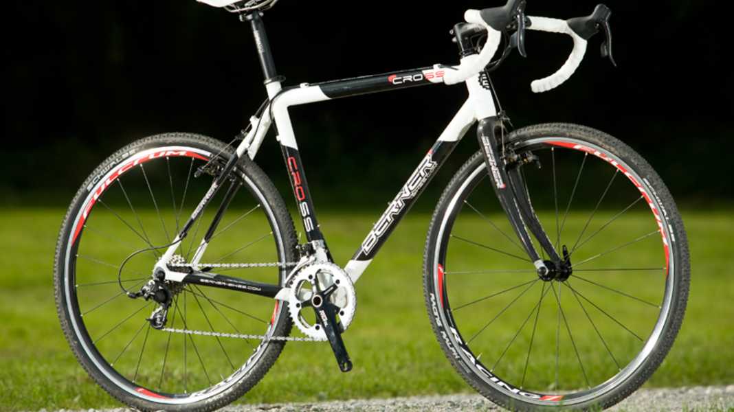Cross bernois