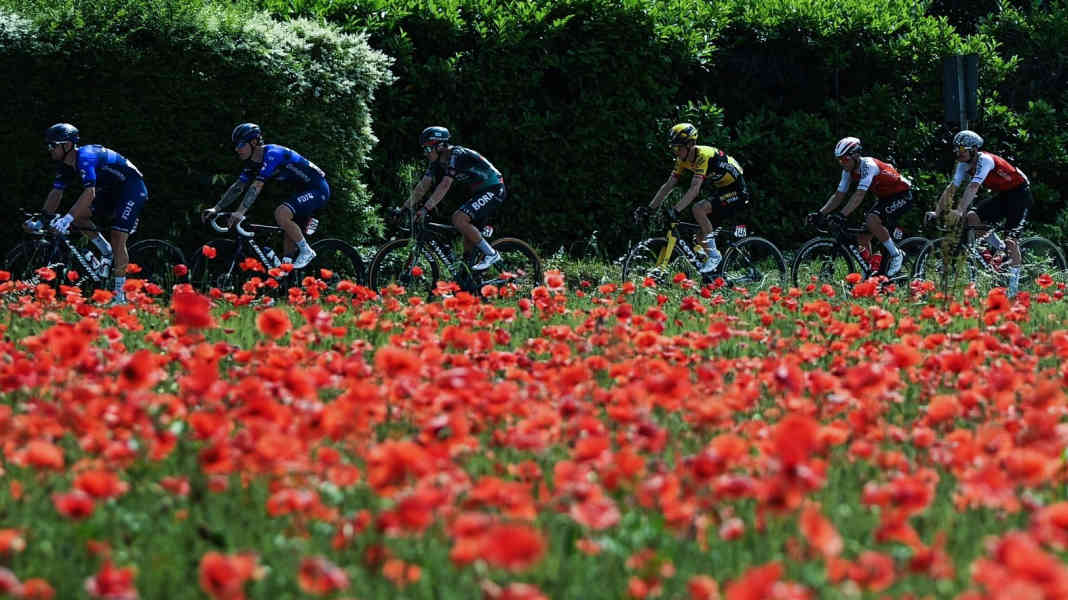 Tour d'Italie - Ackermann n'a aucune chance au sprint