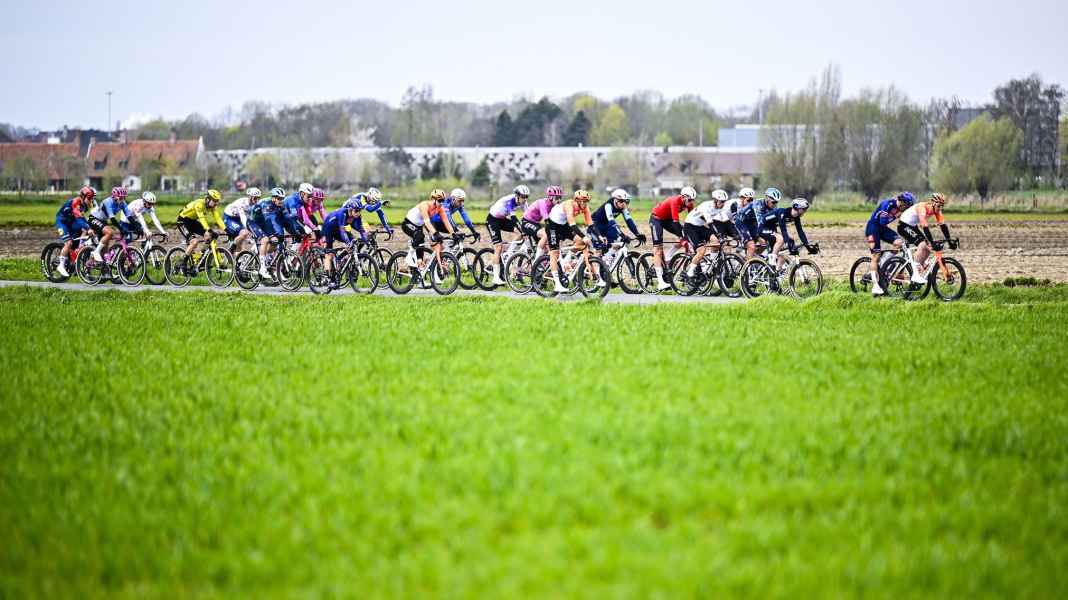 After Sanremo frustration: hat-trick for van der Poel at the E3 Prize