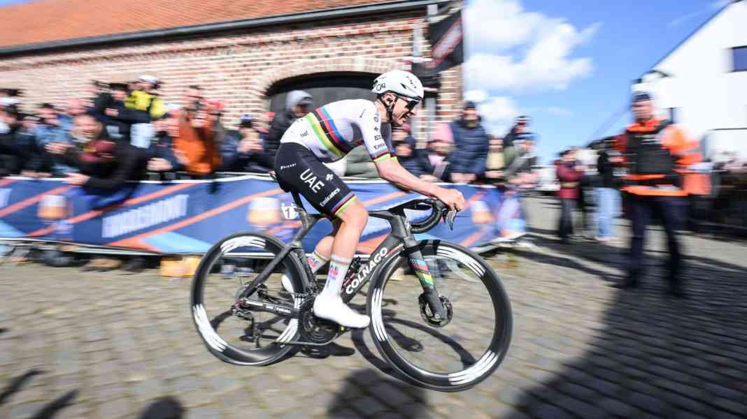 Driving licence gone? Pogacar faces Flanders repercussions