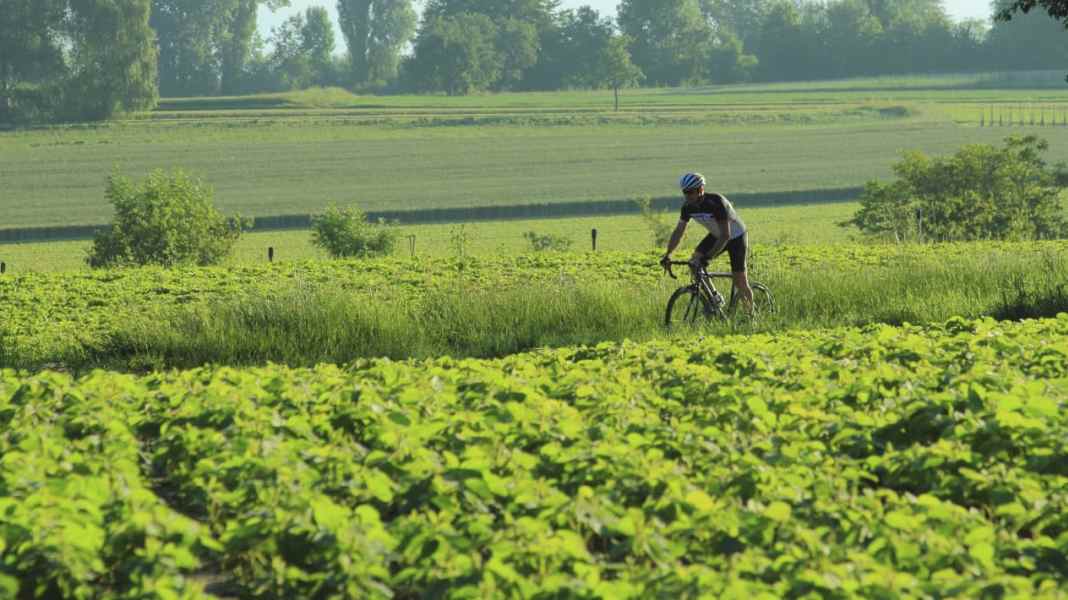Allemagne : Randonnées à vélo de course au lac de Constance - 2 randonnées à vélo autour de l'ouest du lac de Constance au départ de Radolfzell