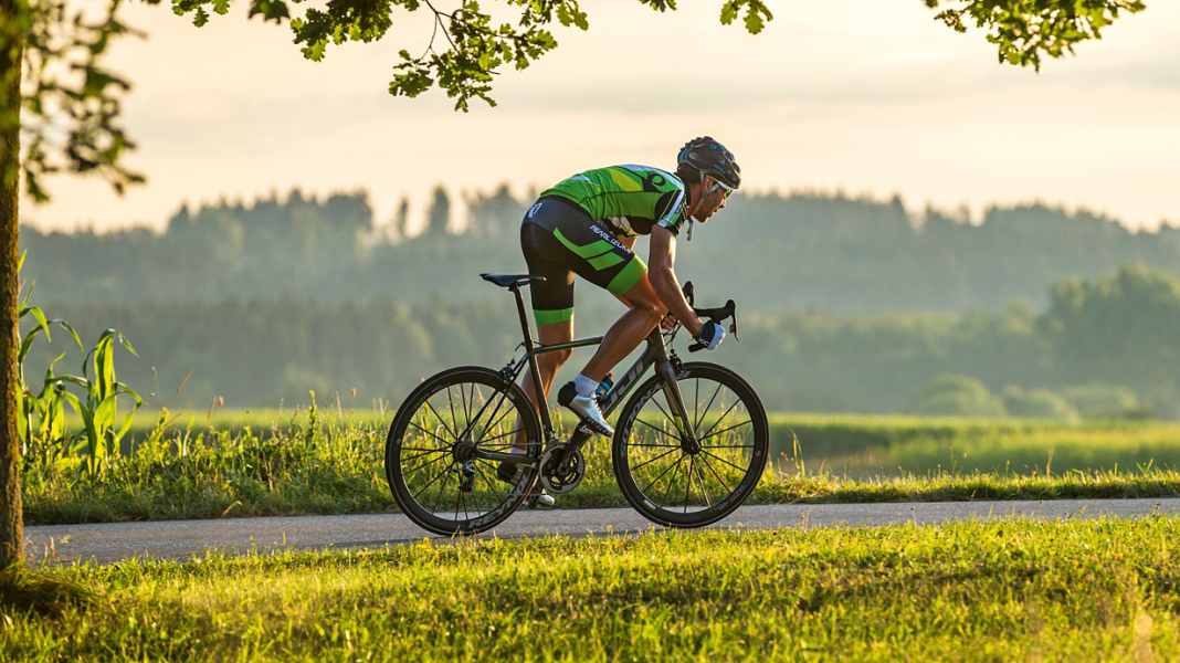 Test 2016: Fuji SL 1.1 - Top model: Fuji SL 1.1 on test
