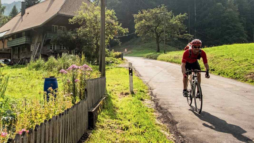 Allemagne : Voyage à vélo de course à travers la Forêt-Noire - Forêt-Noire en long : sur des routes de rêve du nord au sud