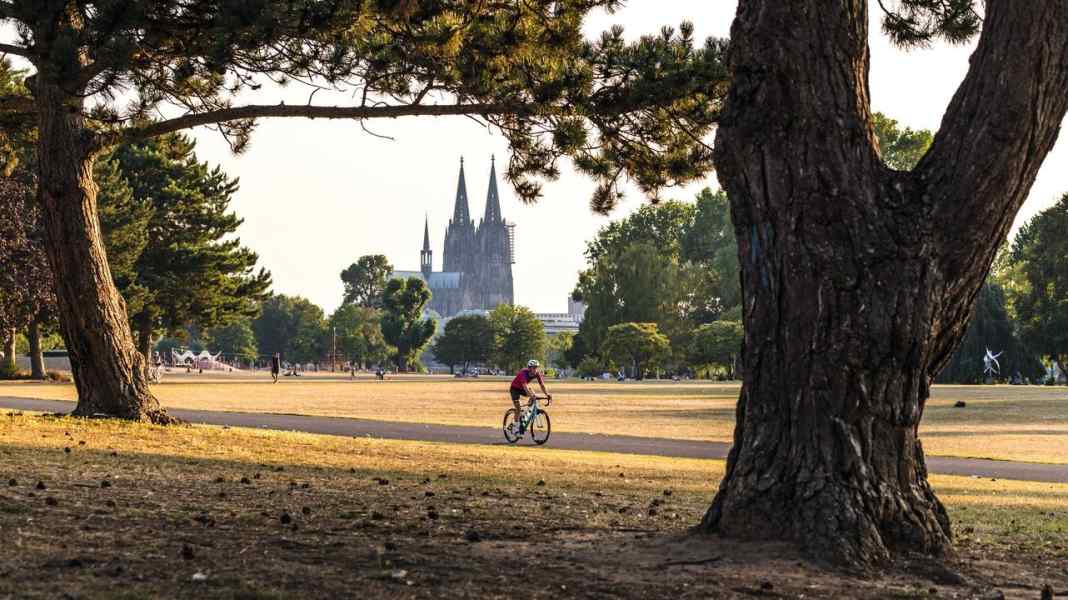 The most beautiful road bike tours in Berlin, Hamburg and Cologne - Big ...
