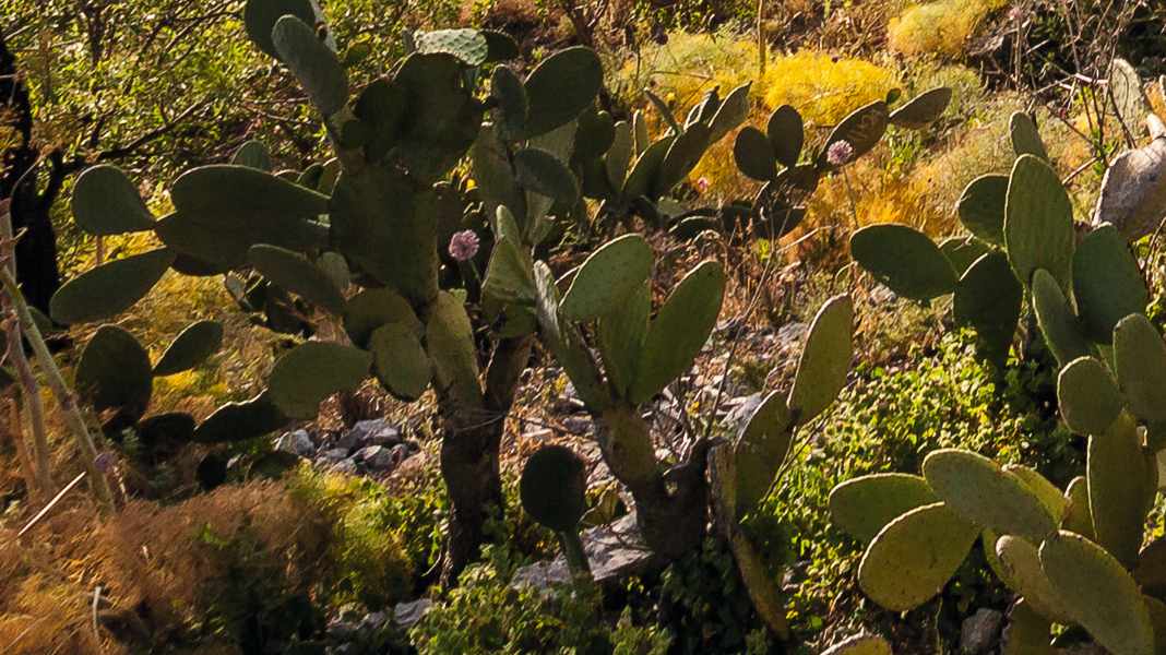 Rennrad-Trainingslager im Frühjahr: Andalusien als ideale Mallorca-Alternative