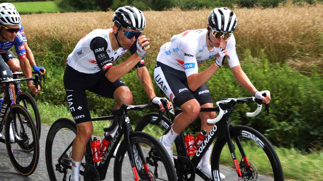 Tour de France: Tigers and crocodiles - curious radio message from Pogacar team