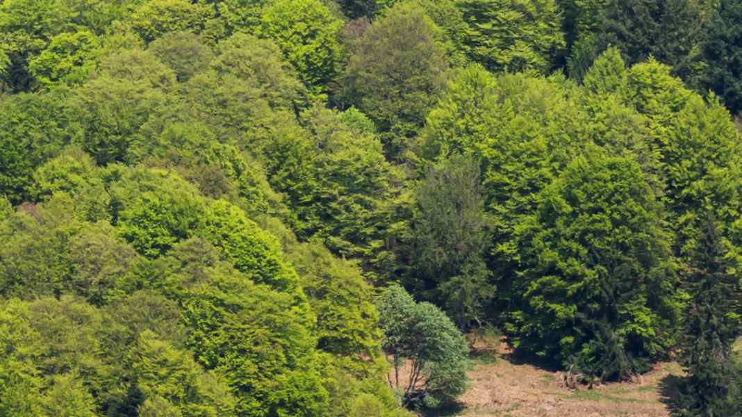 Cycling race in the Vosges: GFNY Grand Ballon with two sportive routes