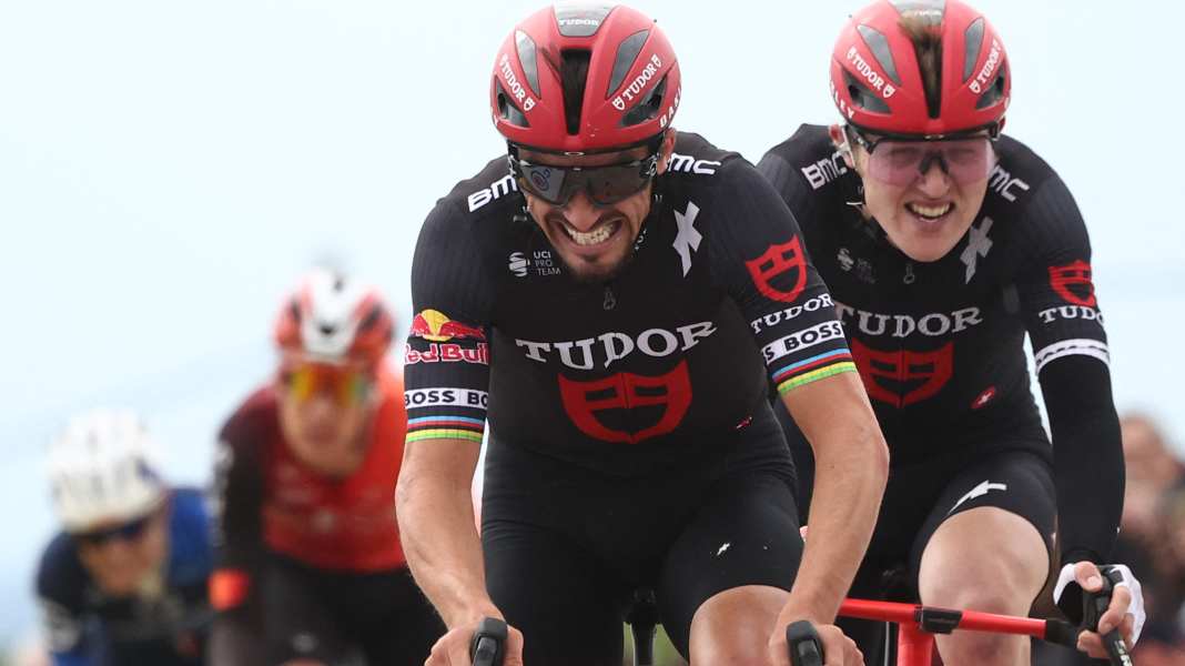 Tour de France 2025: Wildcards vergeben - Teams stehen fest