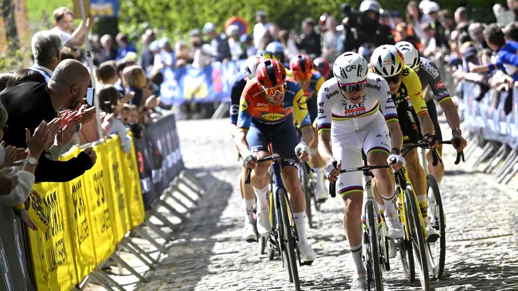Flandern-Rundfahrt 2026: Formcheck der Stars für das Radsport-Monument