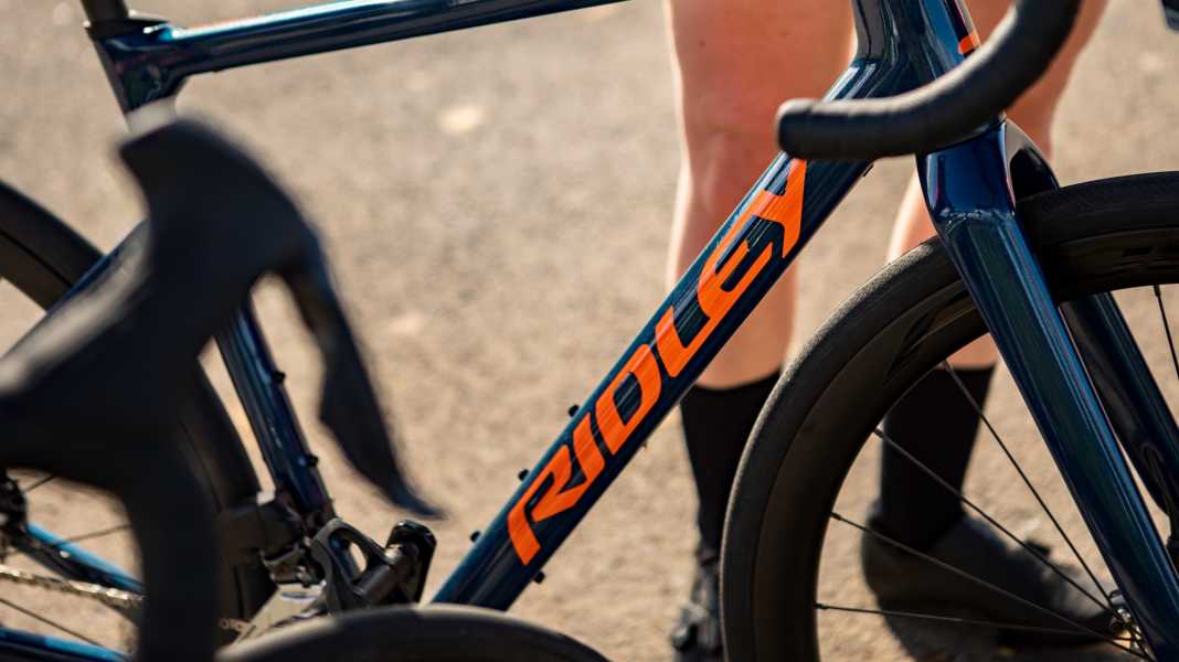 Incitation à l'achat? : Garantie à vie chez Ridley & Co.