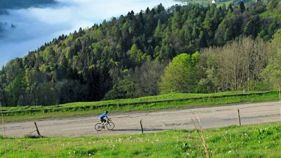 Tour de France 2023: Vogesen zum Zuschauen und selbst erfahren