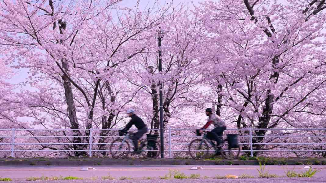 Bike Film Tour 2026 : Du Tour de France des femmes dans les années 80 à la vraie vie de coursier