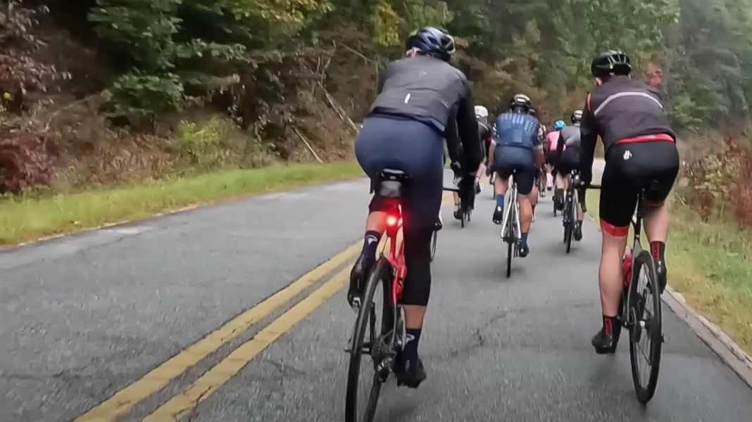Un cerf à l'approche - Hincapie au petit bonheur la chance