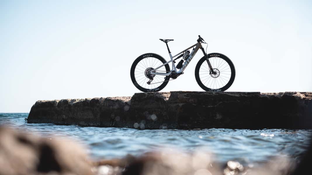 BMC Fourstroke AMP LT: Leichtes E-Bike mit TQ-Motor