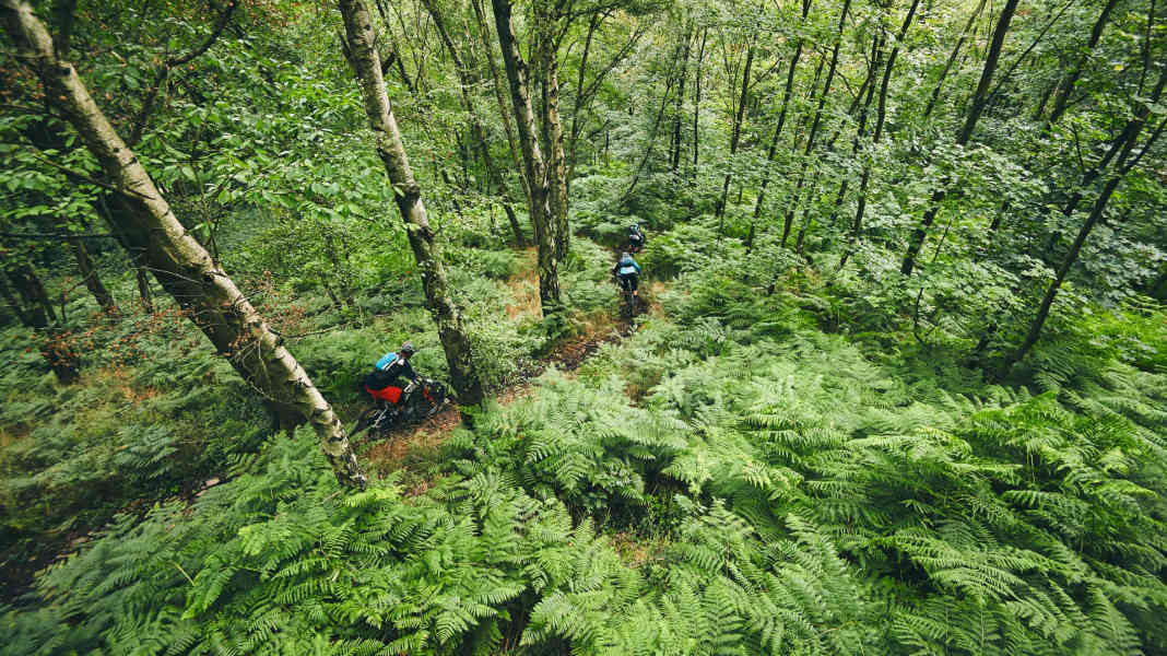Grüner Wille: Wie die Bike-Industrie nachhaltiger wird