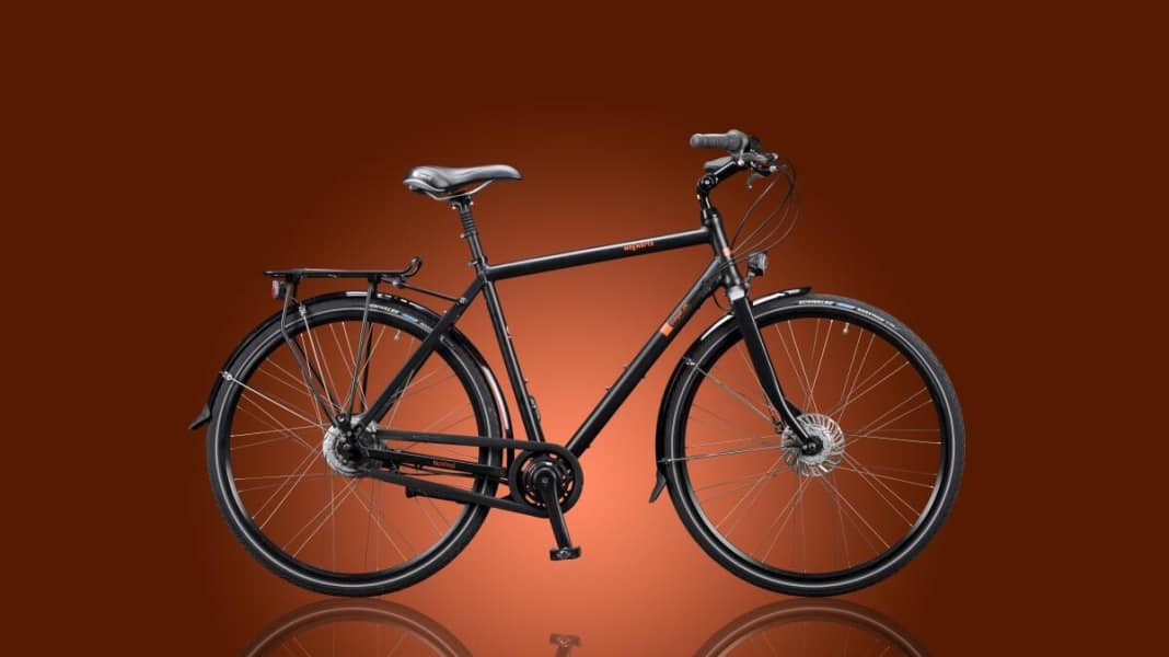 Stadtrad mit wartungsarmer Stufenlos-Schaltung