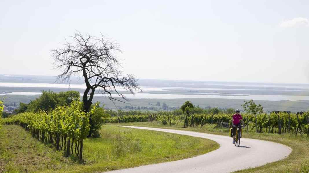 Radreise vom Neusiedler See nach Wien