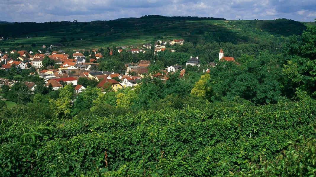 Niederösterreichs längste Route durchs Wein- und Waldviertel