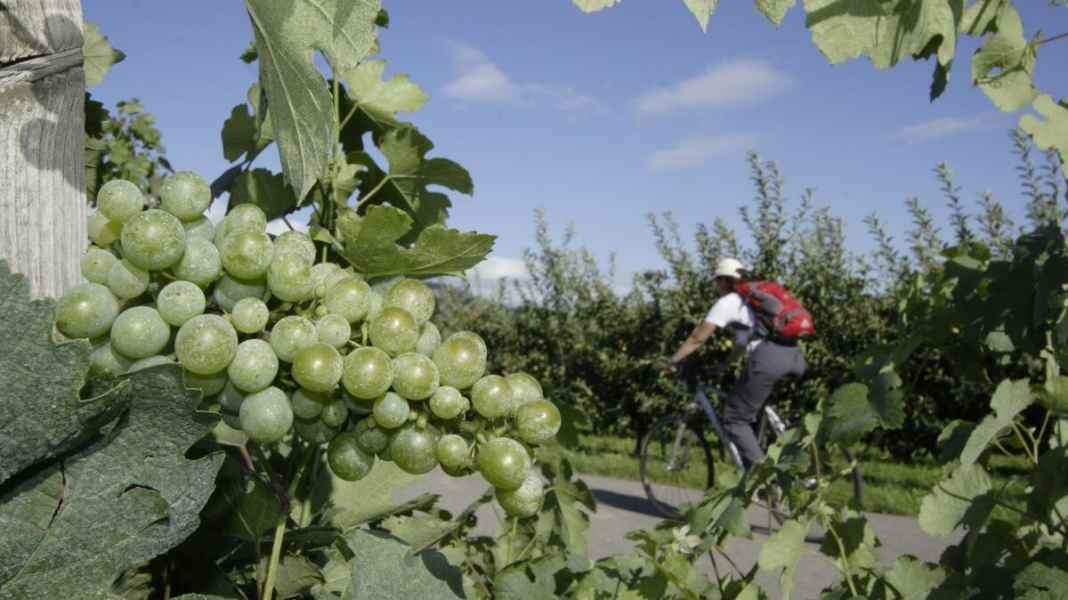 320 km von Passau nach Wien