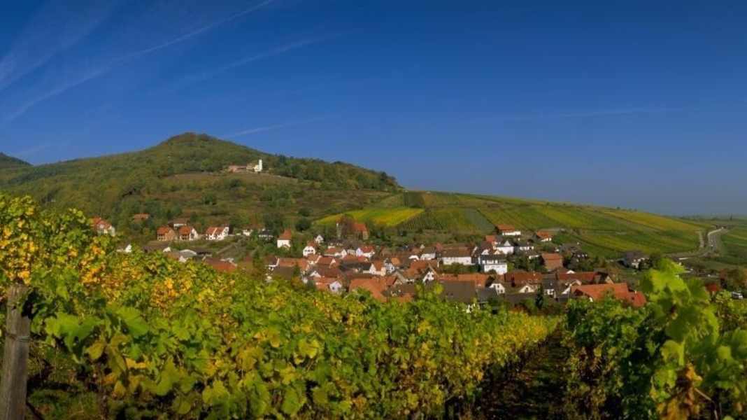 Radweg Deutsche Weinstraße: Schwungvoll durch die Weinberge
