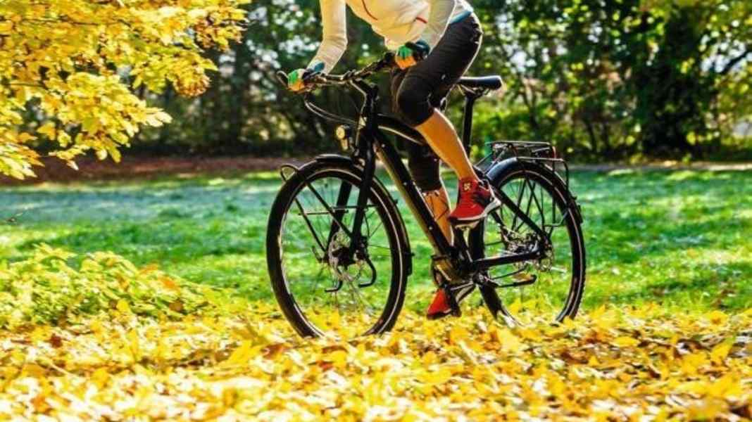 Rose Activa Pro Pinion – Mit 18 Gängen um die Welt