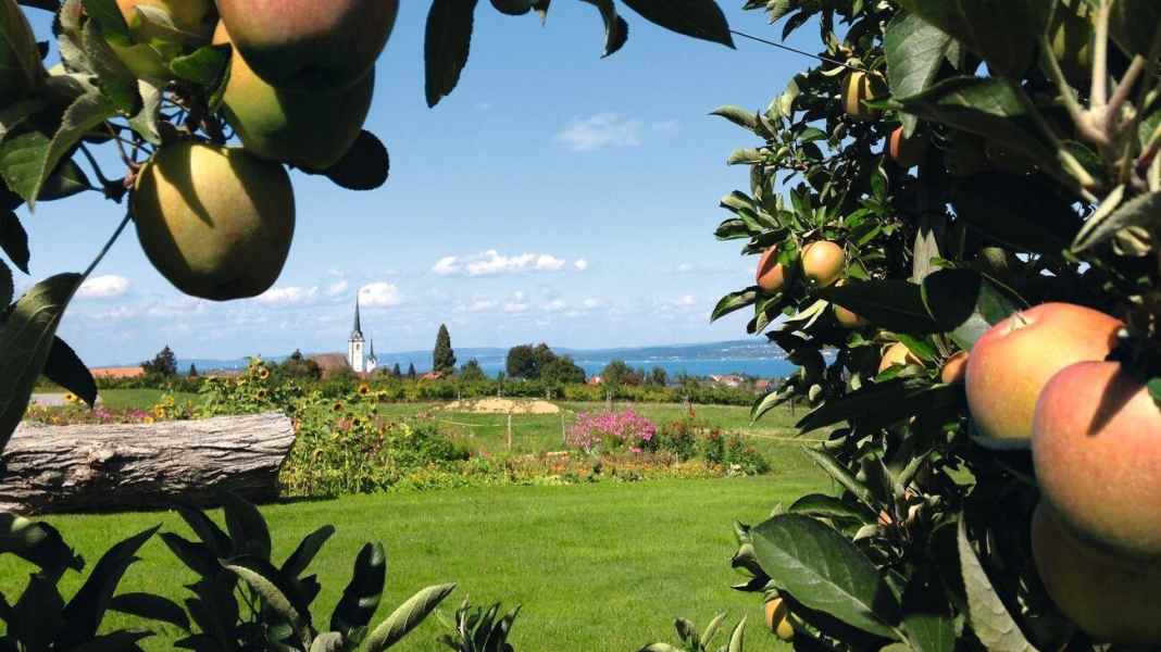 Genussvoll Rad fahren am Bodensee