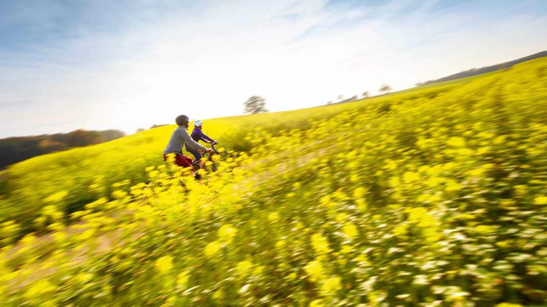 S-Pedelecs: 8 schnelle Modelle im Highspeed-Test