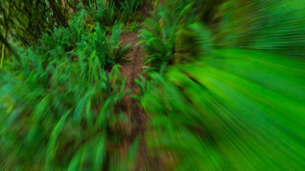 Das können die Flow-Trails in unserem Test