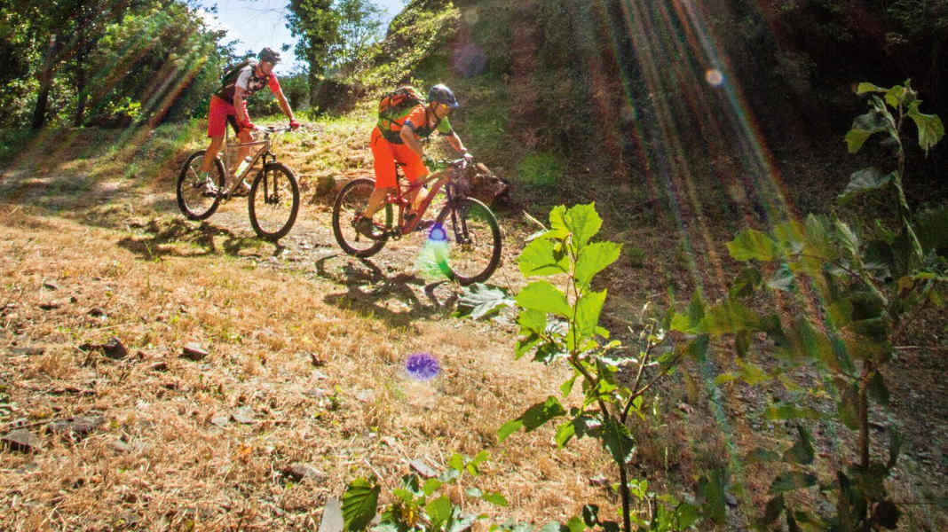 3 Mittelgebirgs-Touren im Westerwald für Mountainbiker