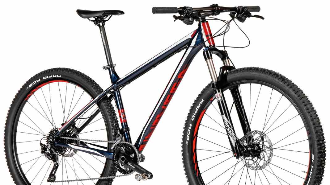 Univega Summit 6.0 im Test