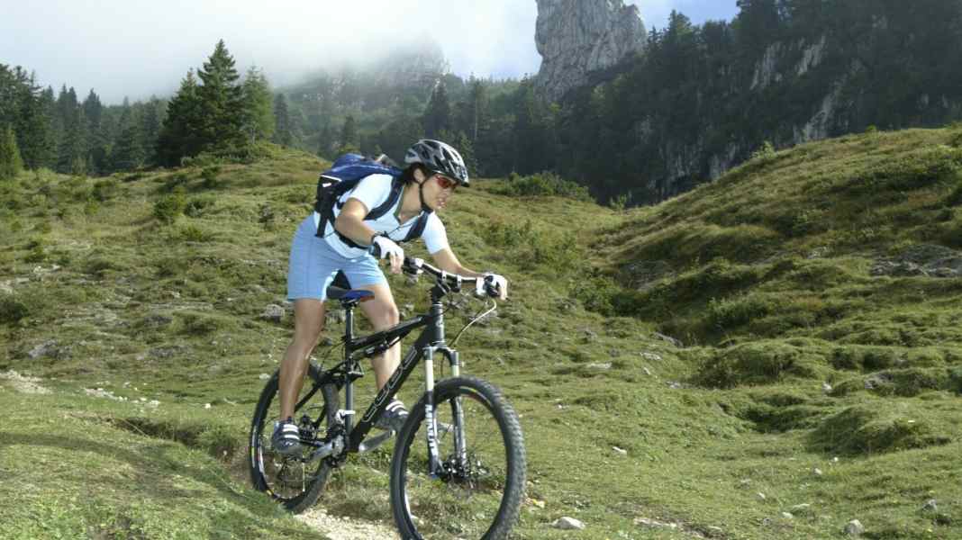 Cube AMS Pro FR – Einzeltest