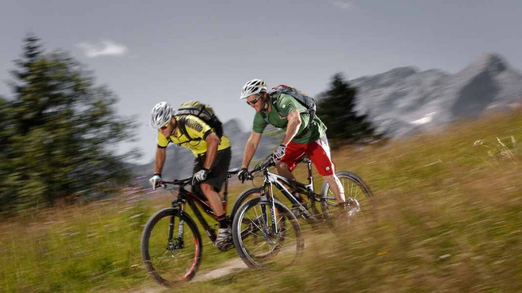 Scott Genius 910 gegen Specialized S-Works Stumpjumper FSR Carbon 29