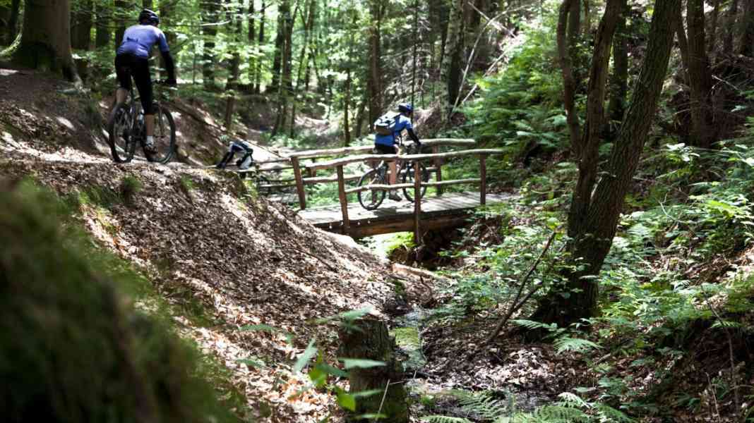 DIMB prämiert Mountainbikepark Pfälzerwald