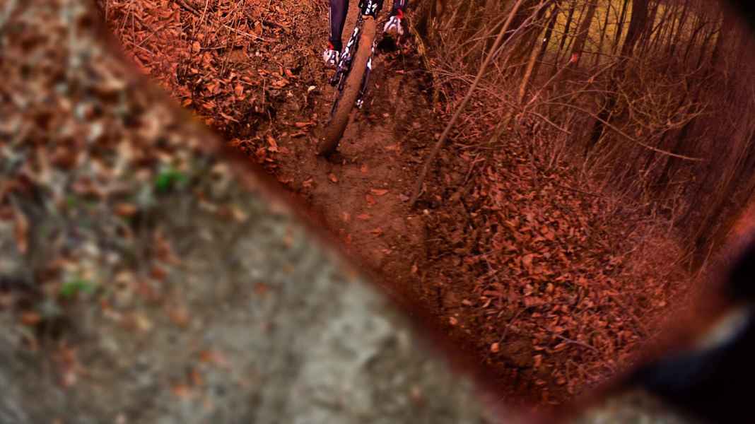 Adlerblick: Optische Sportbrillen für Mountainbiker