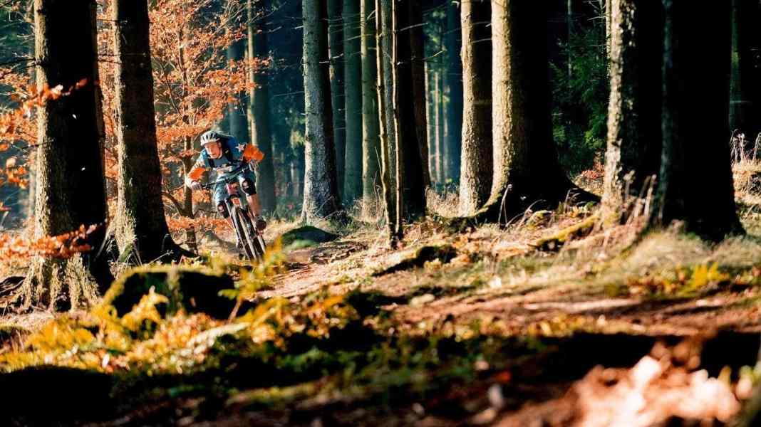 Klein, aber fein: Die Deister-Trails