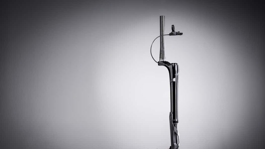 Lefty Ocho: halbe Gabel, doppelter Hingucker