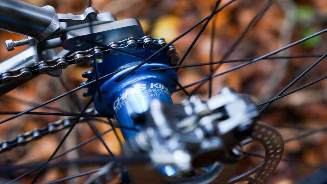 Angriff der Aggro-Bienen