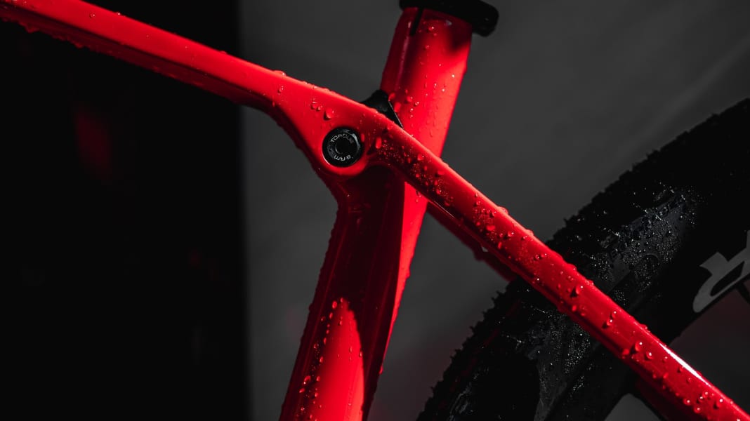 Ab 1750 Euro: das neue Trek Procaliber Hardtail