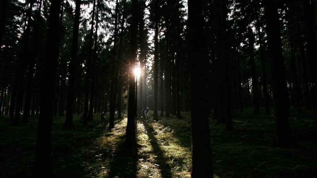 Deutschland: Seiffen