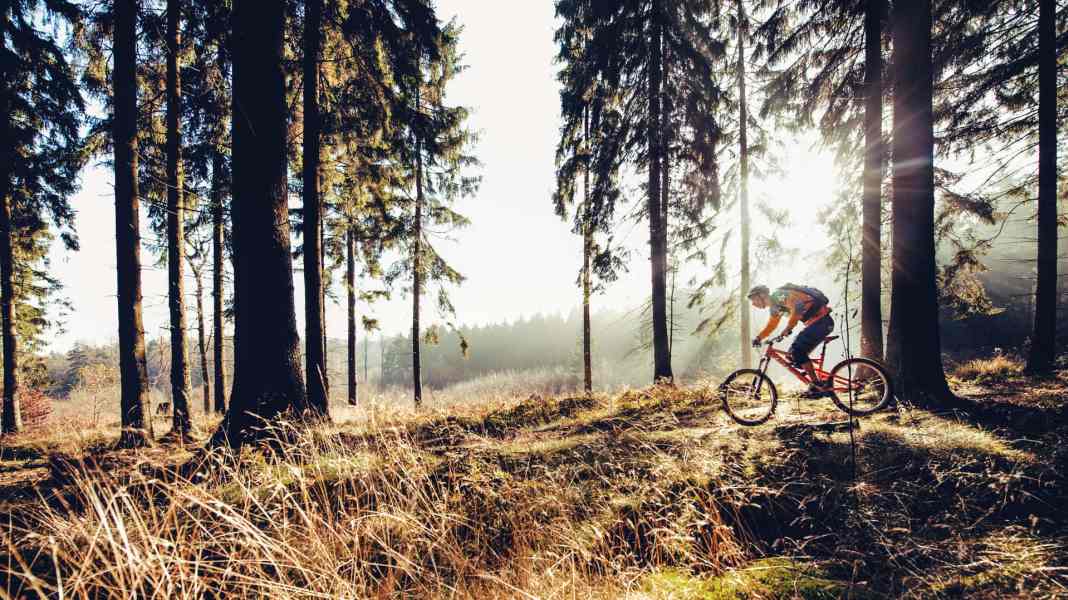 Diese 6 Mountainbike-Trails sind auch im Winter meist trocken!