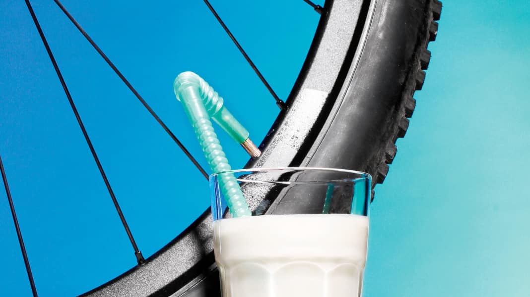 Die Milch macht's: Dichtmilch im Praxis- und Labortest